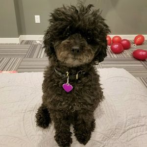 Meet your Posher, Svet